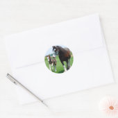Clydesdale en Filly Ronde Sticker (Envelop)