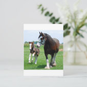 Clydesdale en Merrieveulen Briefkaart (Staand voorkant)