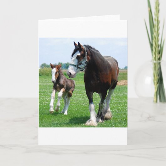 Clydesdale en Merrieveulen Kaart (Voorkant)