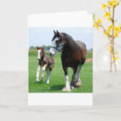 Clydesdale en Merrieveulen Kaart (Gele Bloem)