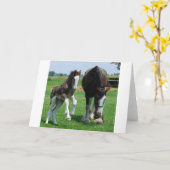 clydesdale en merrieveulen kaart (Gele Bloem)