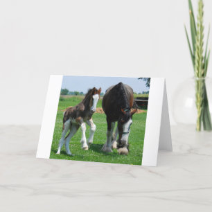clydesdale en merrieveulen kaart
