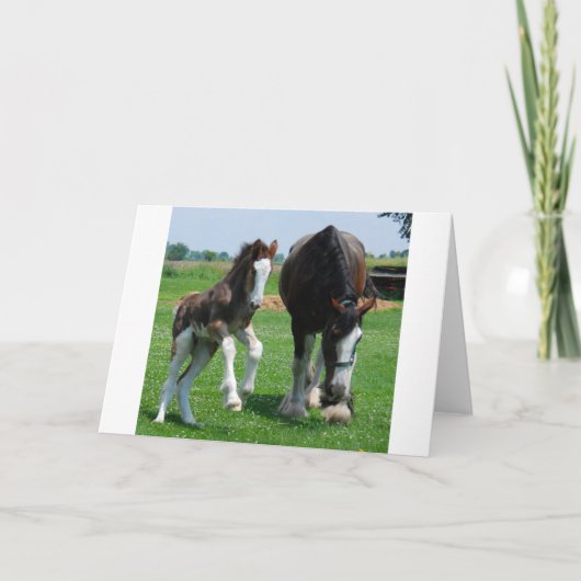 clydesdale en merrieveulen kaart (Voorkant)
