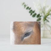 Clydesdale Eye Briefkaart (Staand voorkant)