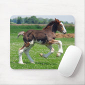 Clydesdale filly mousepad muismat (Met muis)