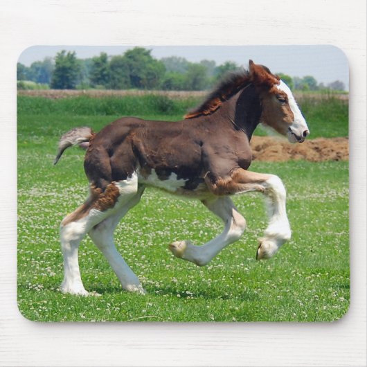 Clydesdale filly mousepad muismat (Voorkant)
