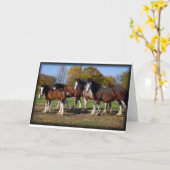 clydesdale groep kaart (Gele Bloem)