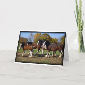 clydesdale groep kaart