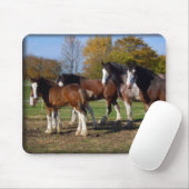 clydesdale groep muismat (Met muis)