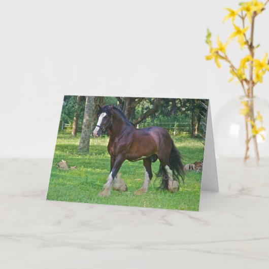 Clydesdale Horse Kaart (Gele Bloem)
