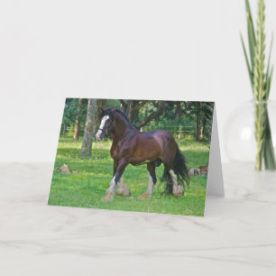 Clydesdale Horse Kaart