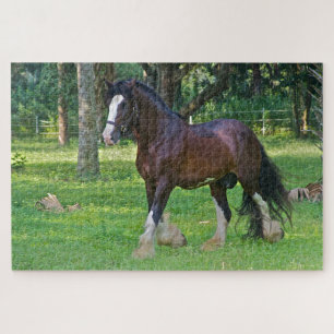 Clydesdale Horse Legpuzzel