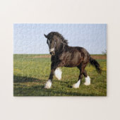 Clydesdale Horse Legpuzzel (Horizontaal)