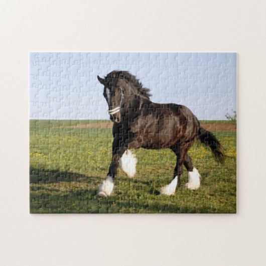 Clydesdale Horse Legpuzzel (Horizontaal)