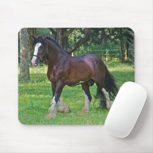 Clydesdale Horse Muismat (Met muis)
