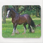 Clydesdale Horse Muismat (Voorkant)