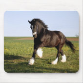 Clydesdale Horse Muismat (Voorkant)