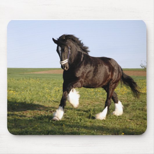 Clydesdale Horse Muismat (Voorkant)