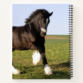 Clydesdale Horse Notitieboek (Achterkant)