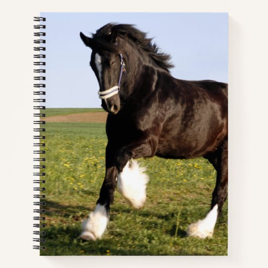 Clydesdale Horse Notitieboek (Voorkant)