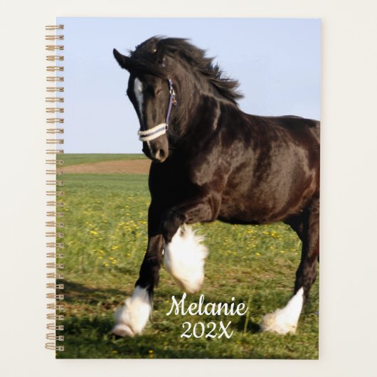 Clydesdale Horse Planner (Voorkant)