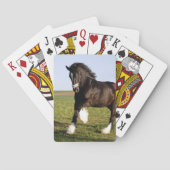 Clydesdale Horse Pokerkaarten (Achterkant)