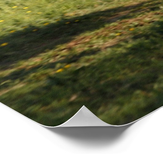 Clydesdale Horse Poster (Hoek)