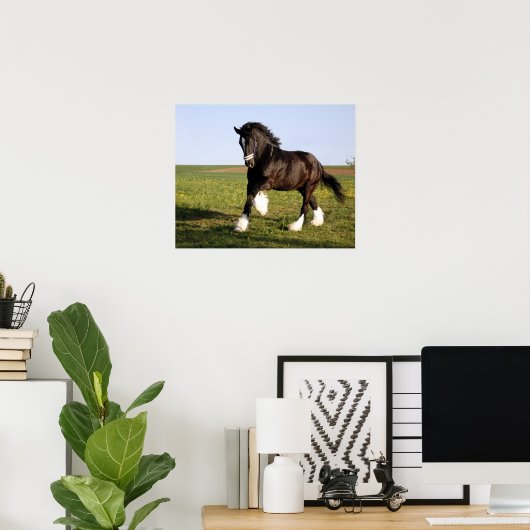 Clydesdale Horse Poster (Thuiskantoor)