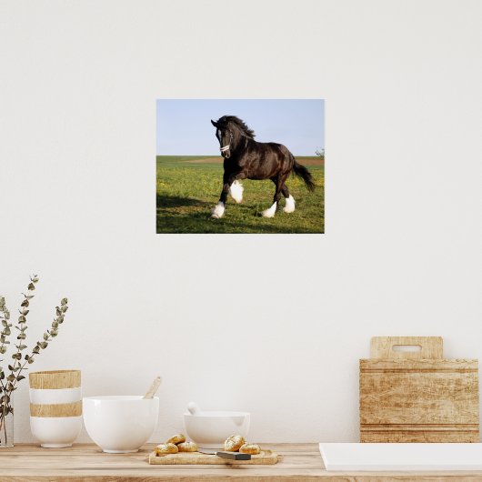 Clydesdale Horse Poster (Keuken)