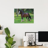 Clydesdale Horse Poster (Thuiskantoor)