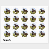 Clydesdale Horse Ronde Sticker (Vel)