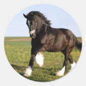 Clydesdale Horse Ronde Sticker (Voorkant)