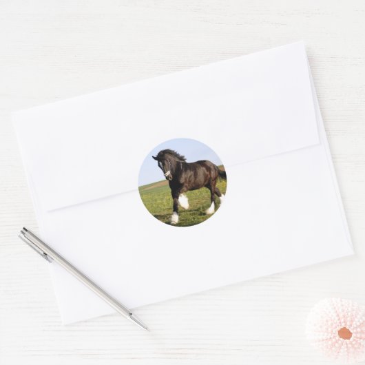 Clydesdale Horse Ronde Sticker (Envelop)