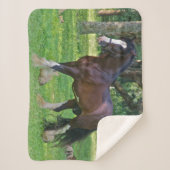 Clydesdale Horse Sherpa Deken (Voorkant)