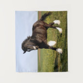 Clydesdale Horse Wandkleed (Voorkant)