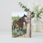 Clydesdale Mama en Baby Briefkaart (Staand voorkant)