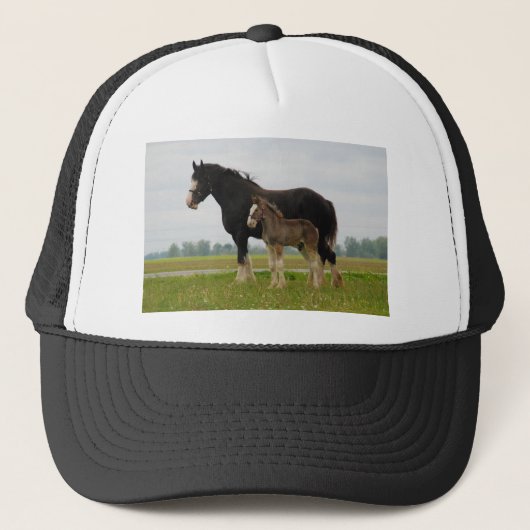 clydesdale mare en filly trucker pet (Voorkant)