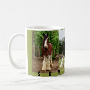 Clydesdale Mok