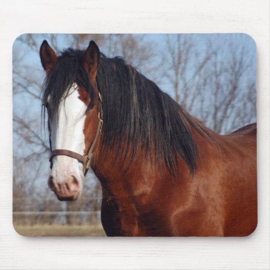 Clydesdale mousepad muismat (Voorkant)