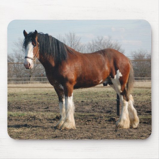 Clydesdale mousepad muismat (Voorkant)