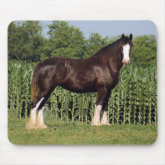 Clydesdale Muismat (Voorkant)