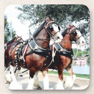 Clydesdale paarden bier onderzetter