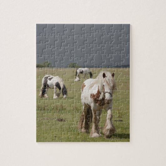 Clydesdale paarden in een veld, Northumberland, Legpuzzel (Verticaal)