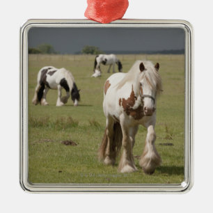 Clydesdale paarden in een veld, Northumberland, Metalen Ornament