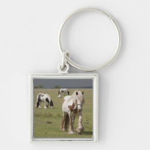 Clydesdale paarden in een veld, Northumberland, Sleutelhanger