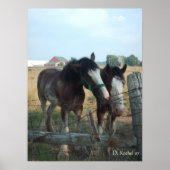 Clydesdale paarden poster (Voorkant)