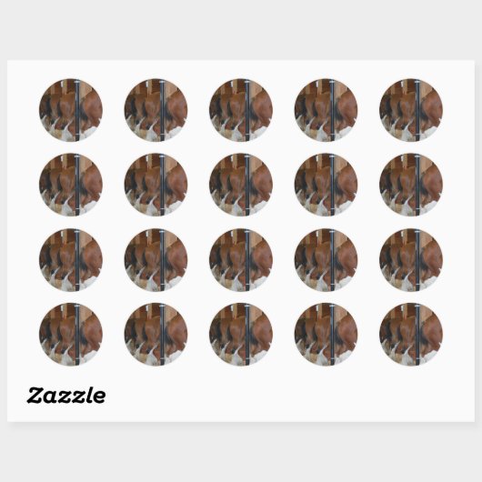 Clydesdale paarden ronde sticker (Vel)