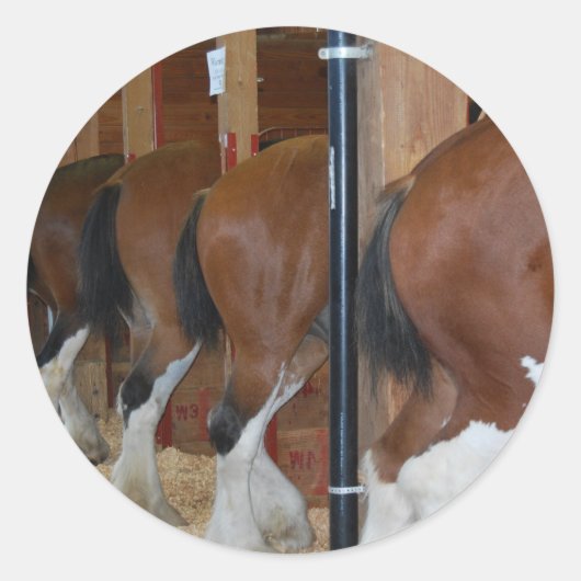 Clydesdale paarden ronde sticker (Voorkant)