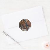 Clydesdale paarden ronde sticker (Envelop)