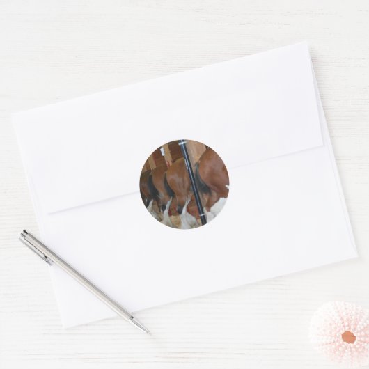 Clydesdale paarden ronde sticker (Envelop)